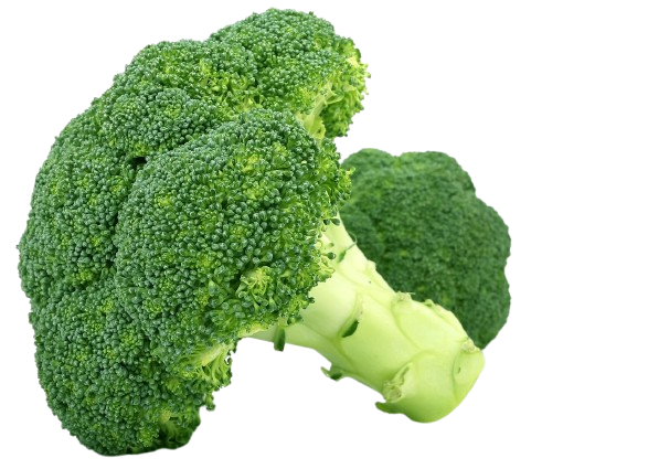 Broccoli